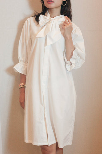 Cravat shirt dress
